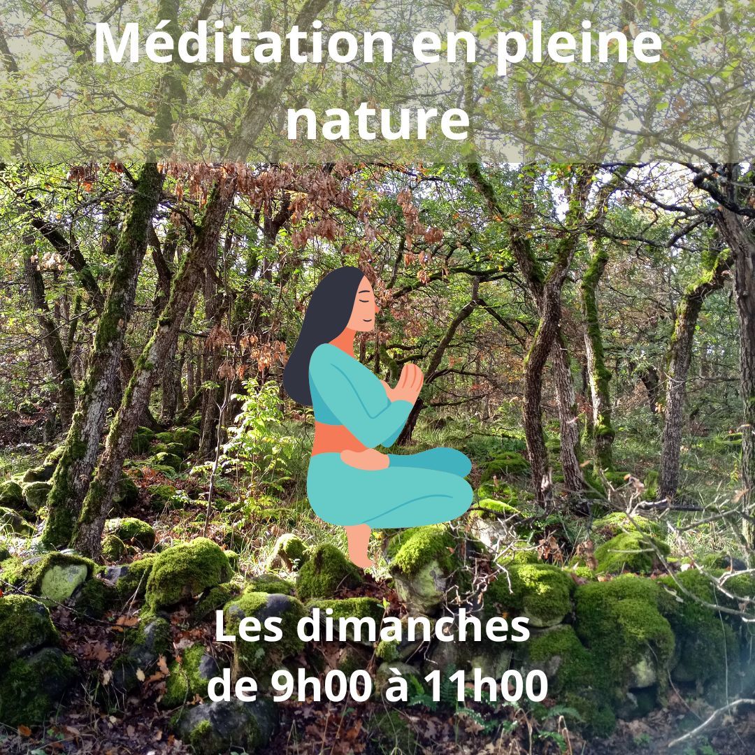 Sortie // Méditation de pleine conscience et en pleine nature